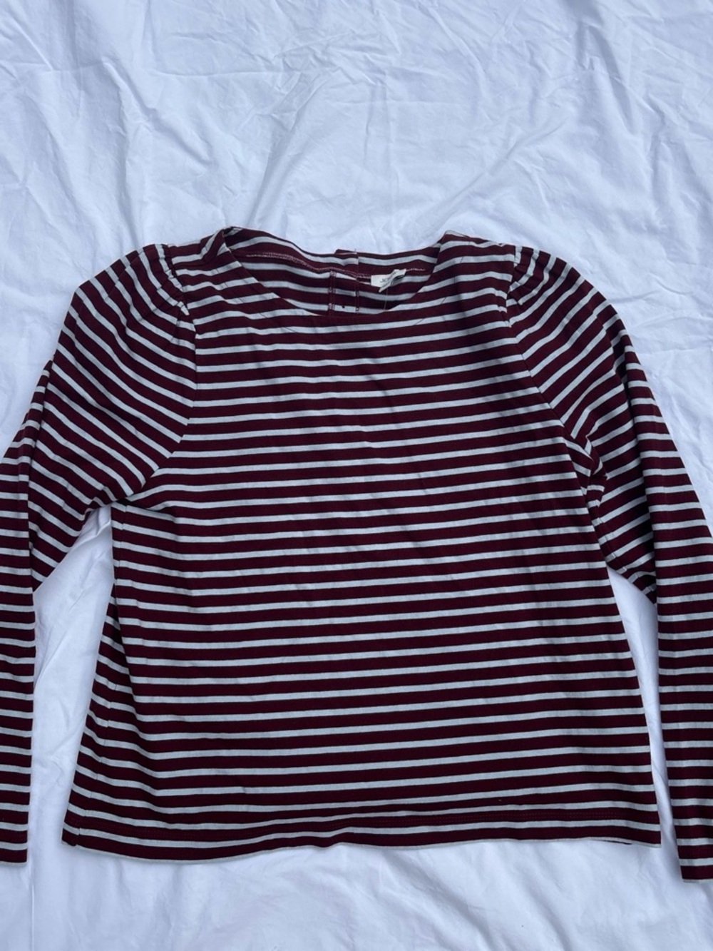 J. Crew Burgundy and Light Blue Striped Long-Sleeve Top